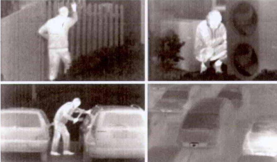 IRISYS4010英利斯紅外熱成像儀-現(xiàn)貨(圖3)