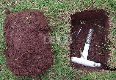 進口6470不銹鋼溫度探頭(圖1)