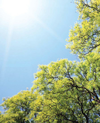 LAI-2200C植物冠層分析儀(圖1)