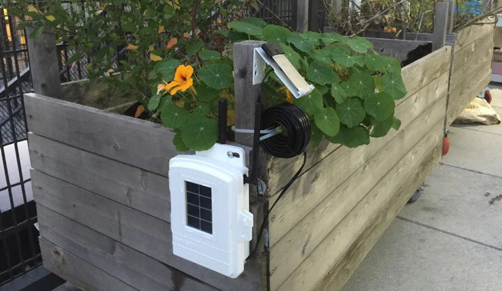 Davis 6440土壤濕度傳感器(圖1)