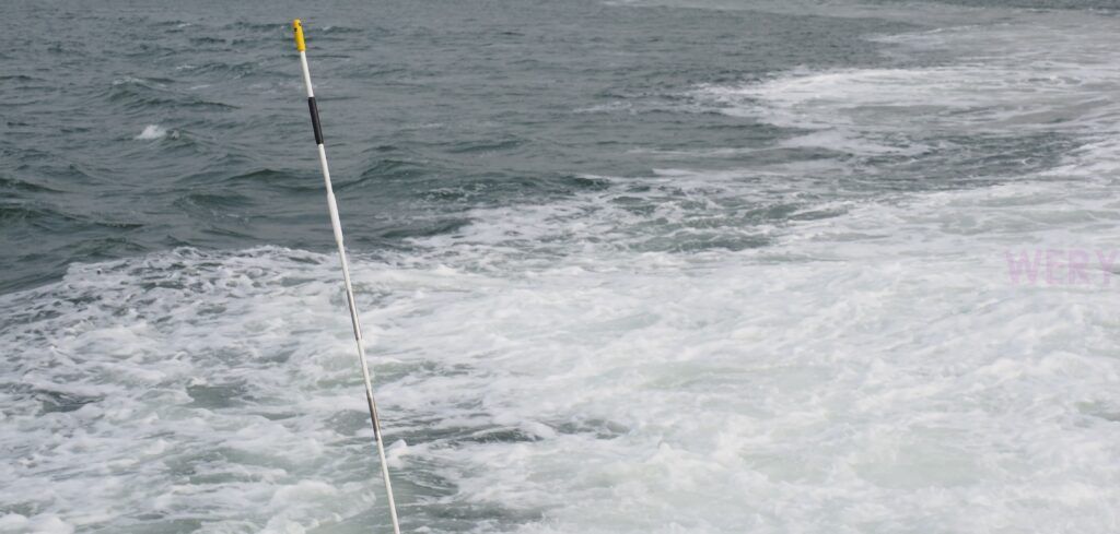 緊湊型空氣溫度 (CAT4) 天線(圖1)